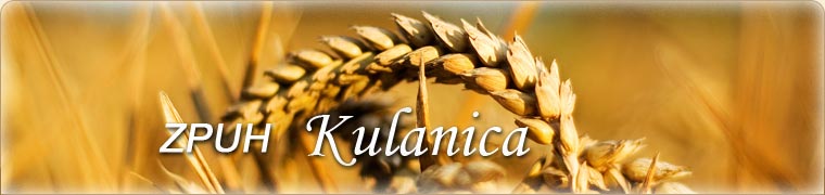 ZPUH Kulanica